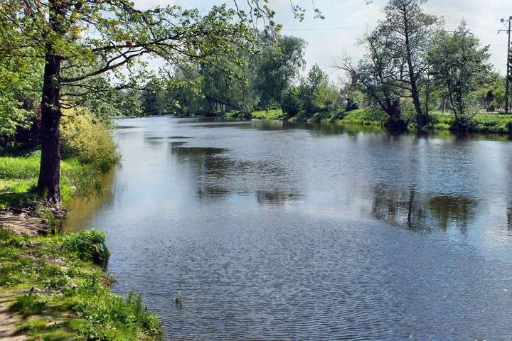 Rzeka Pasłęka płynie monotonnie,łagodnie meandrując w stronę Zalewu Wiślanego.
