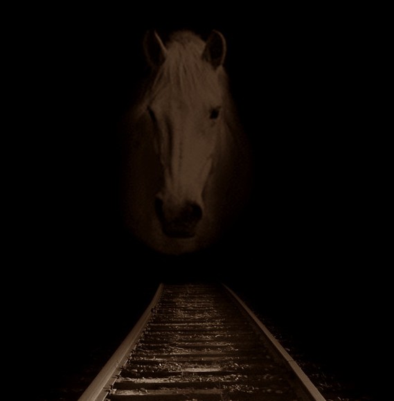 Horse in the Dark (Lipiec 2015)