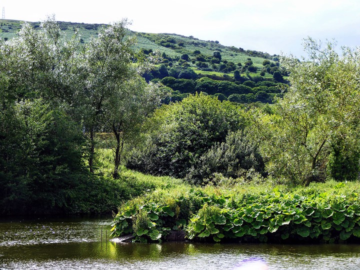 Valley Park (Sierpień 2015)