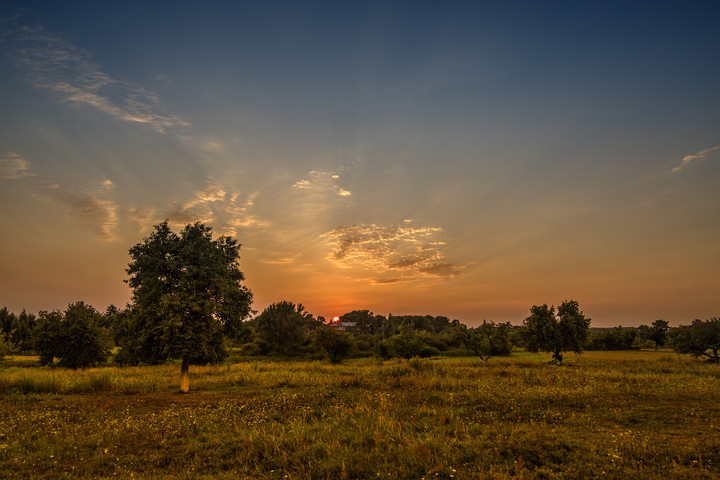 **** (Sierpień 2015)