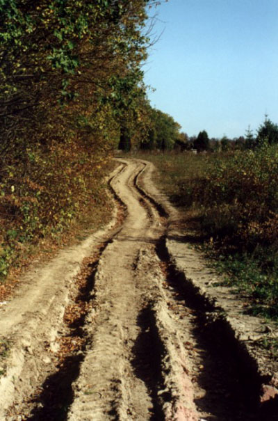 Oto widzisz, znowu idzie jesień... (Wrzesień 2003)