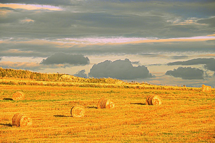 Jesień w polu (Wrzesień 2015)