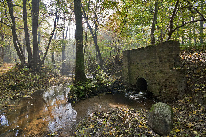 (Wrzesień 2015)