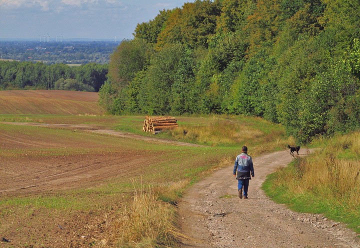 Wrzesień (Wrzesień 2015)