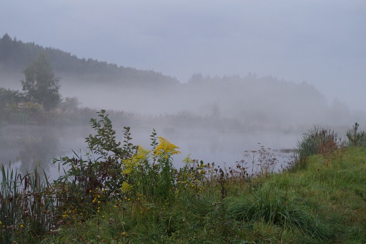 Mglisty poranek (Wrzesień 2015)