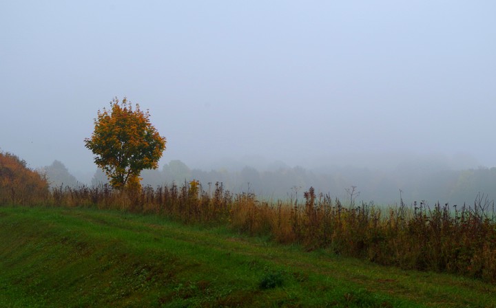 ... (Październik 2015)