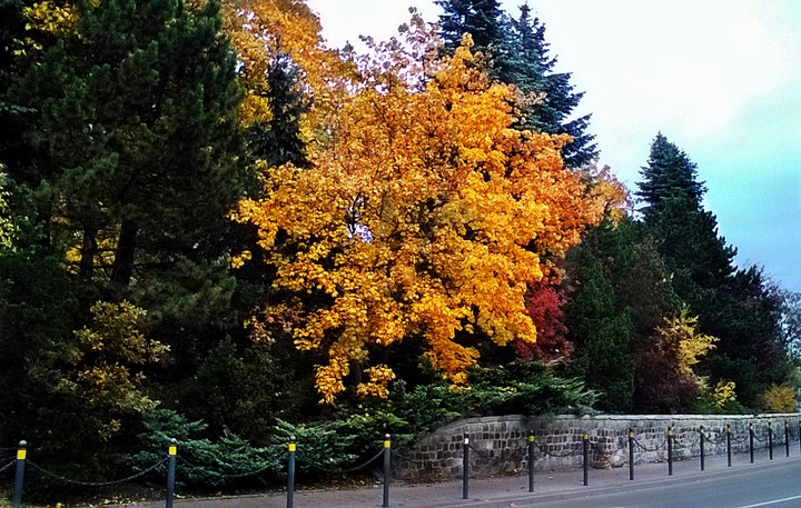 Uroki jesieni (Październik 2015)