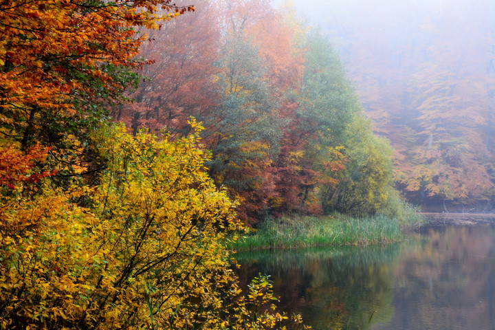 Jelenia Dolina w jesiennych barwach