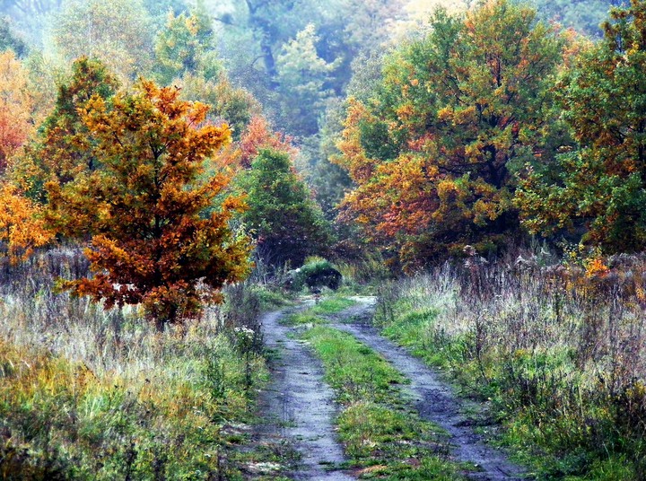 Jesienny spacer (Październik 2015)