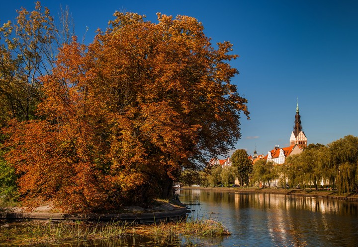 Bo jesień piękna jest.