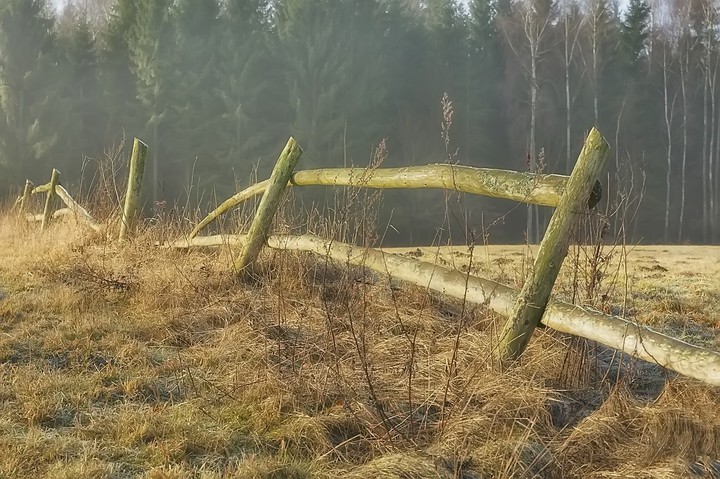 starość (Marzec 2016)