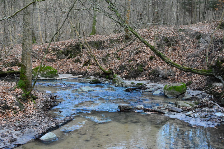 Bażantarnia (Marzec 2016)