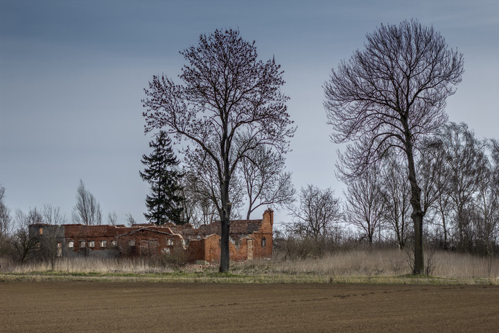 Ruiny (Kwiecień 2016)