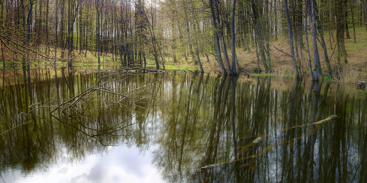 "Leśne oczko" (Kwiecień 2016)