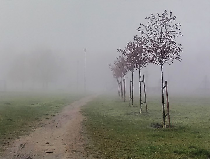 Poranek we mgle (Kwiecień 2016)