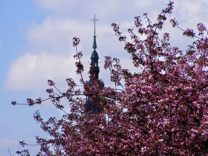 ...a w oddali Katedra. (Maj 2016)