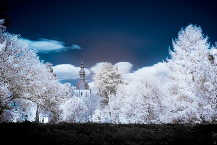 Plener parkowy ( IR ) (Maj 2016)