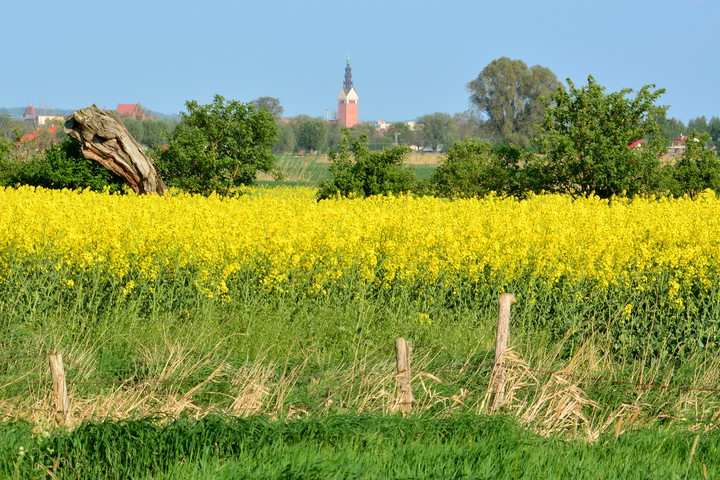 I znowu przyszedł maj ... (Maj 2016)