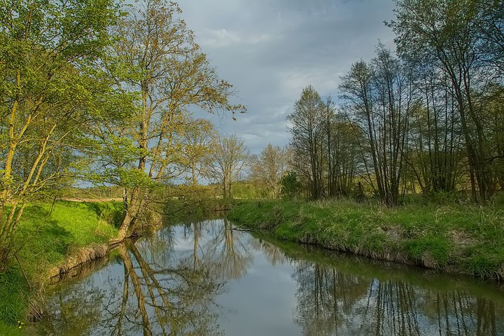 rzeka (Maj 2016)