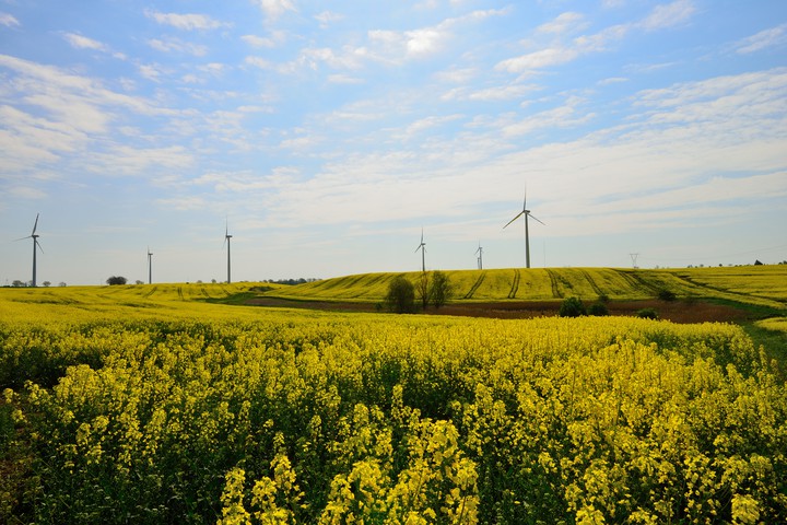 Bioenergetyczne Gościszewo