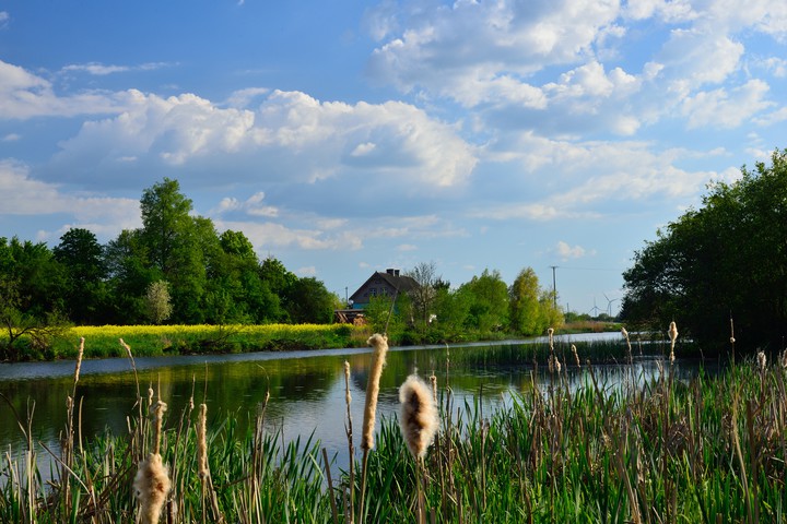 Żuławska włóczęga (I) (Maj 2016)