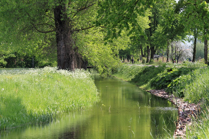 Rowerzysta. (Maj 2016)