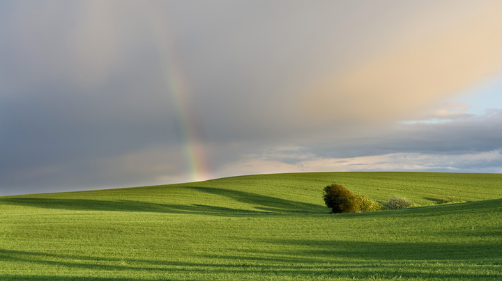 Żuławska Toskania. (Maj 2016)