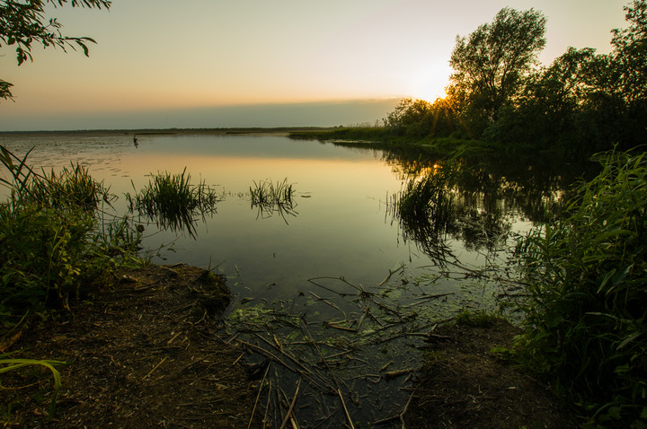 Dobre miejsce na węgorza. (Maj 2016)