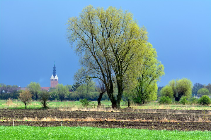 za miastem (Czerwiec 2016)