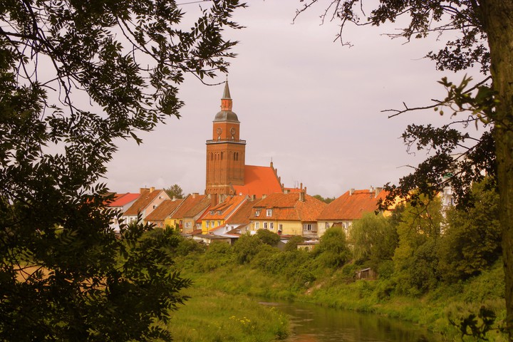 Zakole rzeki Łyny (Sierpień 2016)