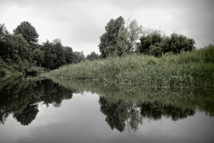 Piękno przyrody (Sierpień 2016)