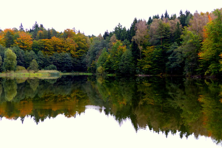 Pani Jesień (Październik 2016)