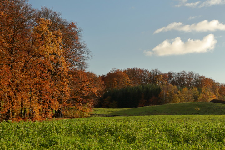 Kolory jesieni (Październik 2016)