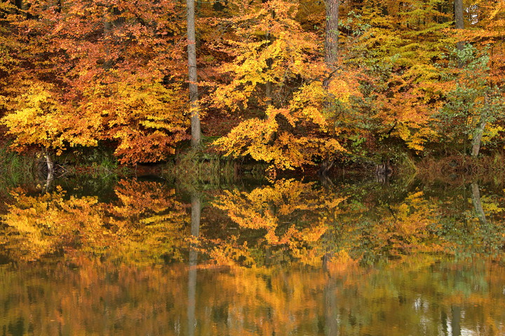 October Rust (Październik 2016)