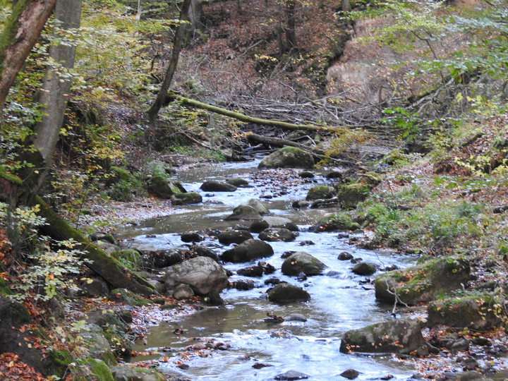 Uroczysko (Październik 2016)