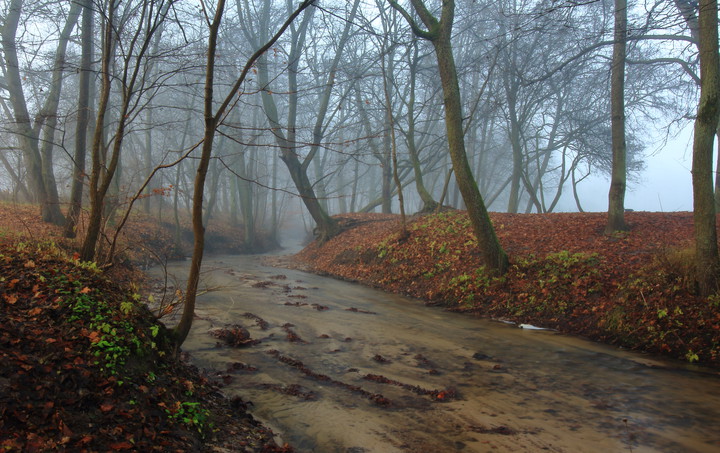 Wejście do Krainy Mgieł (Grudzień 2016)