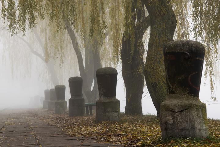 Pachoły (Grudzień 2016)