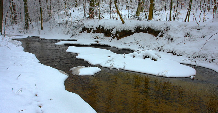 Bażantarnia (Styczeń 2017)