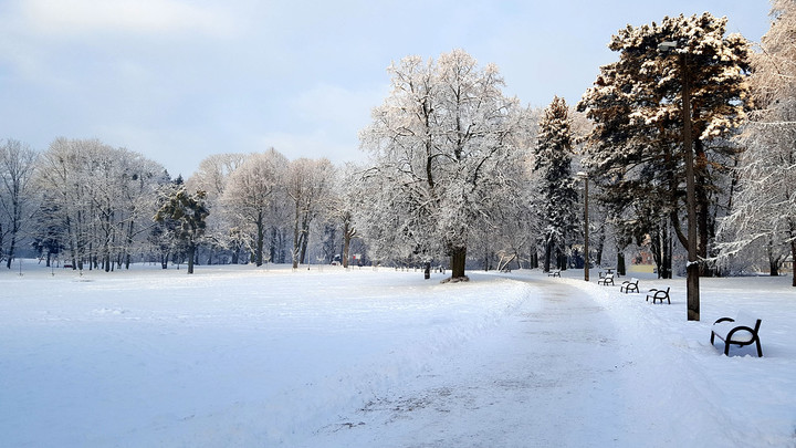 Śniegiem malowane