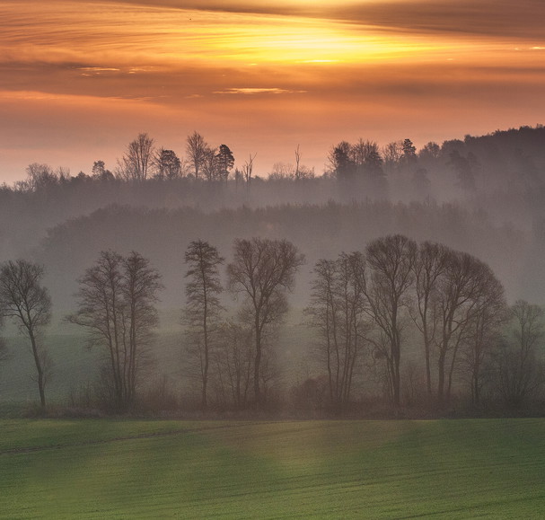 Poranek (Kwiecień 2017)