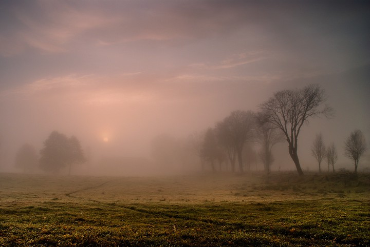 Poranek (Kwiecień 2017)