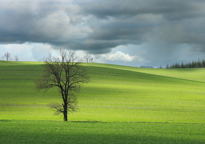 Wiosna (Kwiecień 2017)