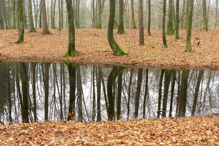 Trzy warstwy (Kwiecień 2017)