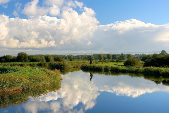 Żuławy Elbląskie (Maj 2017)