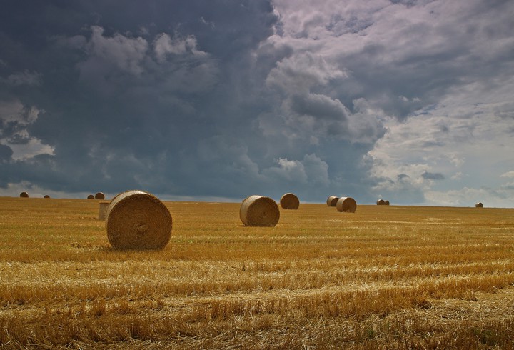 "Już po żniwach" (Sierpień 2017)