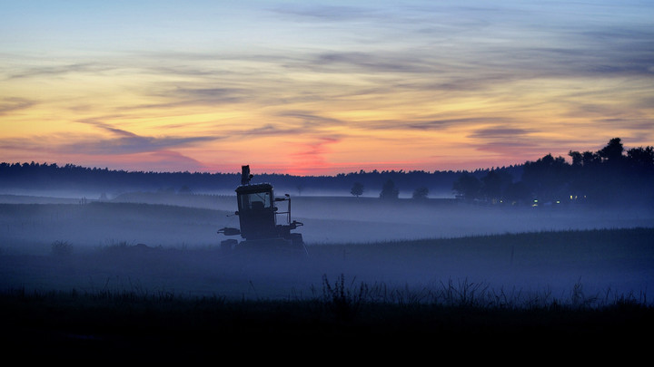 Wieczorem (Sierpień 2017)