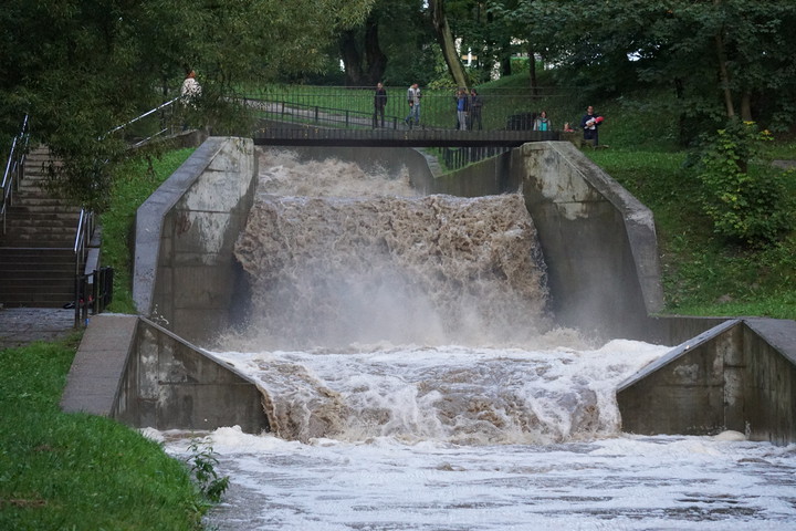 Kumielka potrafi... (Wrzesień 2017)