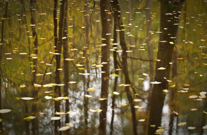 "Jesień malowana" (Październik 2017)