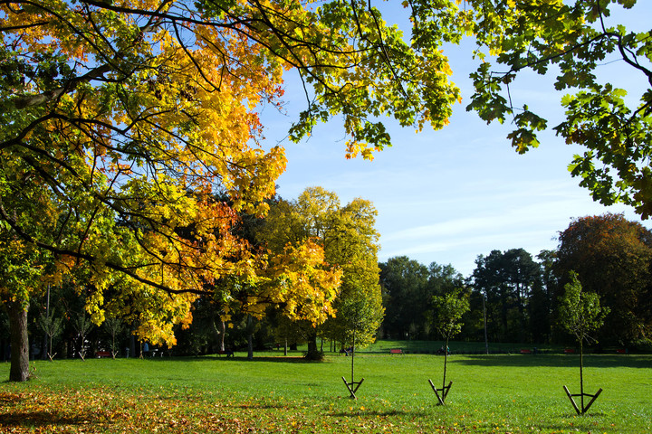 kolorowy park (Październik 2017)