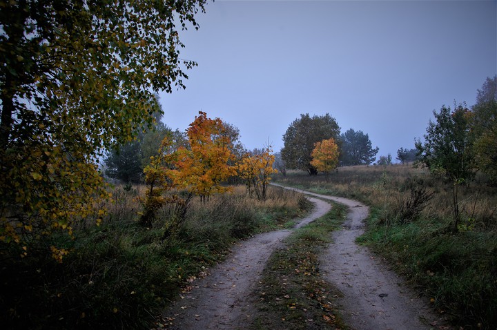 Polna droga w mglisty poranek (Październik 2017)